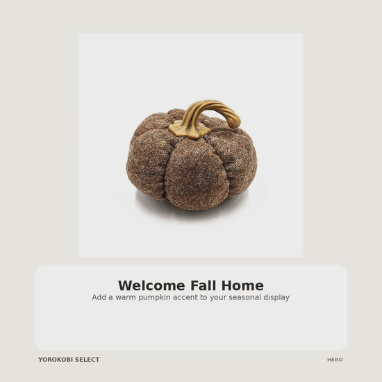 Brown Pumpkin Fall Porch Decor product video