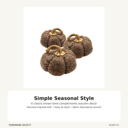 Brown Pumpkin Fall Porch Decor image 2